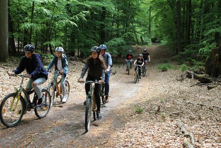 Kinder fahren mit dem Mountainbike durch die Wälder Osterburgs