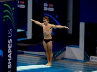 Europameisterschaften 2026: Wasserspringen