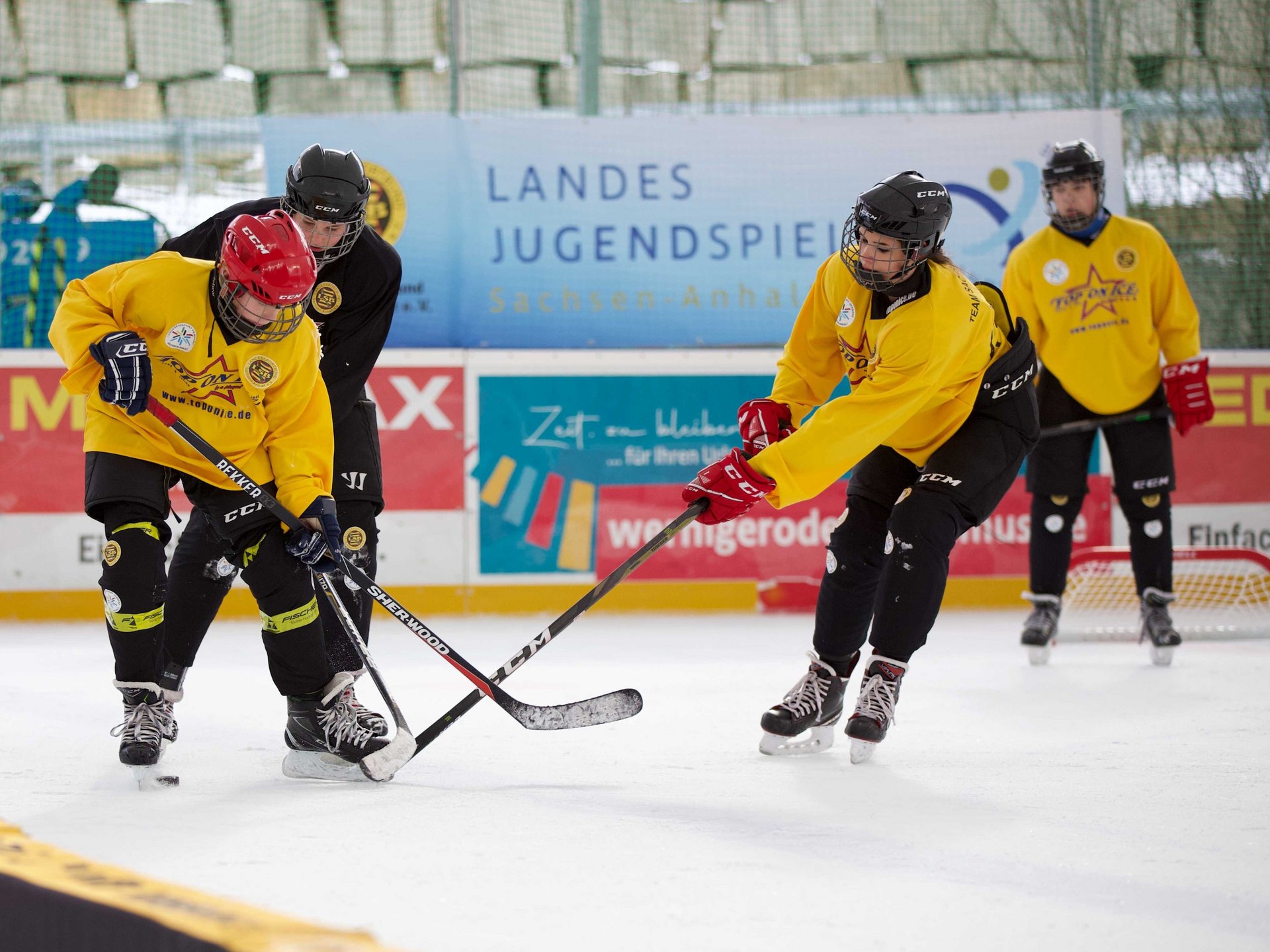 Landesjugendspiele Winter am 24./25.01.2026 in Schierke und Wernigerode
